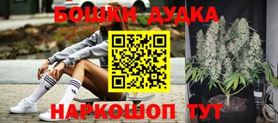apvp Лесосибирск