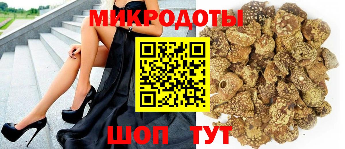 Галлюциногенные грибы Cubensis Энгельс