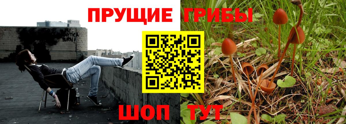 Энгельс  Псилоцибиновые грибы ЛСД  как найти   Вход с VPN 